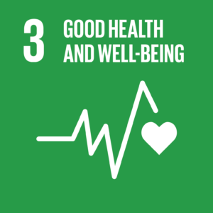 E SDG goals icons individual rgb 03