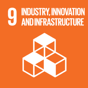 E SDG goals icons individual rgb 09