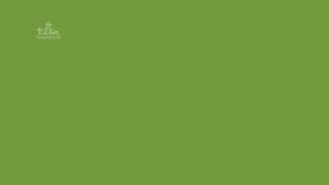 test4 1