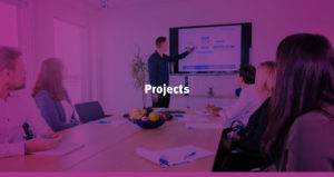 SE Website Projects small2 1