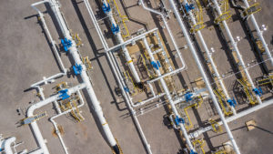 shutterstock 1125665663